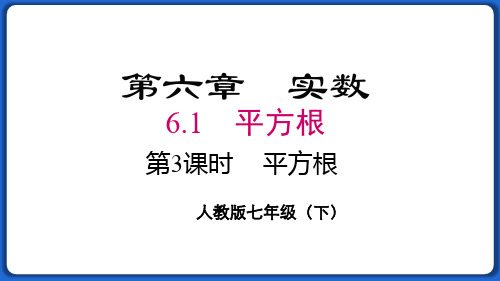 平方根  课件 2022—2023学年人教版数学七年级下册