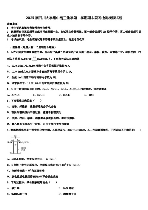 2025届四川大学附中高三化学第一学期期末复习检测模拟试题含解析