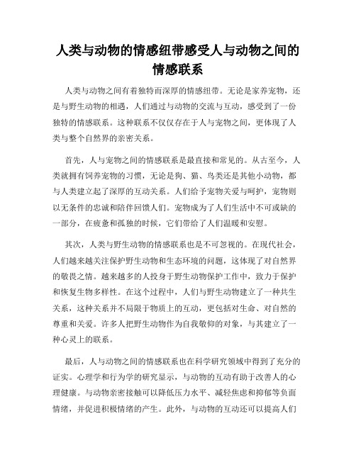 人类与动物的情感纽带感受人与动物之间的情感联系