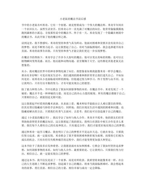 小老鼠的魔法书读后感