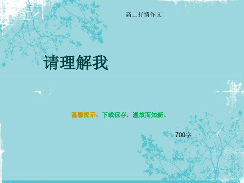 高二抒情作文《请理解我》700字