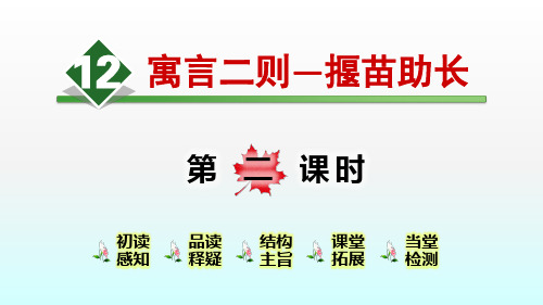 部编版二年级语文下册  12.寓言二则—拔苗助长