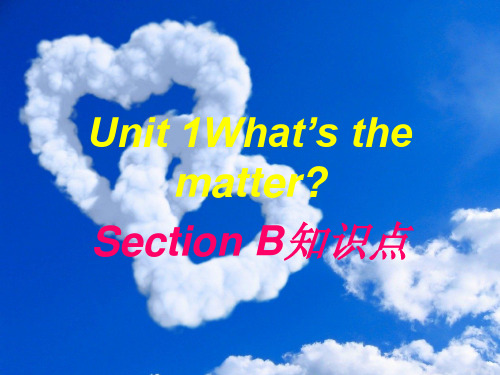 unit1 section B知识点【精选】