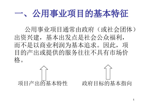 公用事业项目的经济评价