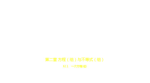 2021年河南中考数学复习练习课件：§2.1 一次方程(组)