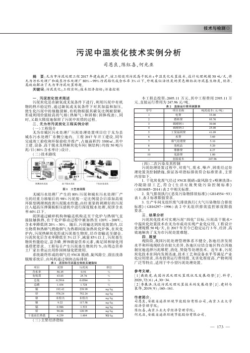 污泥中温炭化技术实例分析