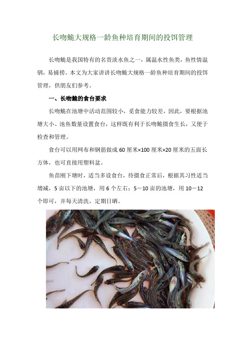 长吻鮠大规格一龄鱼种培育期间的投饵管理