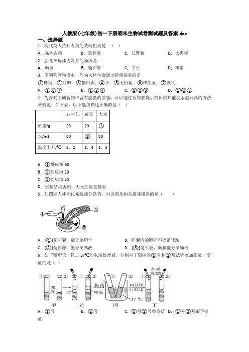 人教版(七年级)初一下册期末生物试卷测试题及答案doc