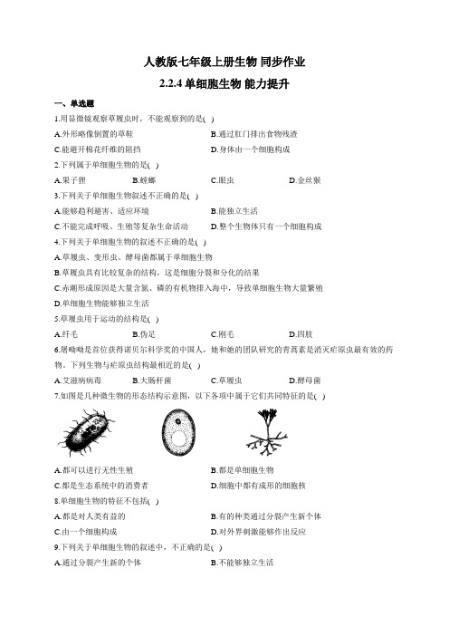 人教版七年级上册生物 同步作业 2