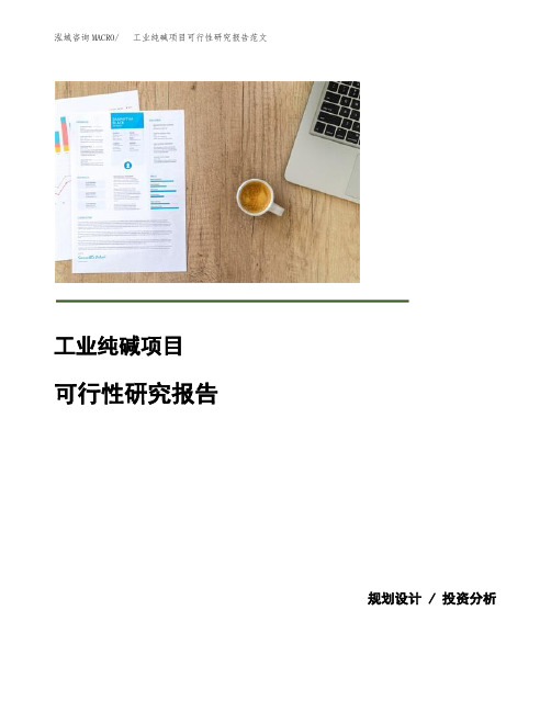 工业纯碱项目可行性研究报告范文