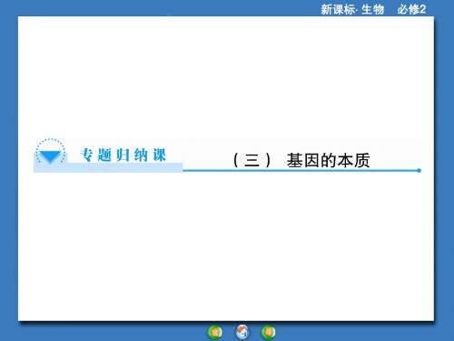 高中生物(人教版)必修2课件：专题归纳课3第3章《基因的本质》(共29张PPT)