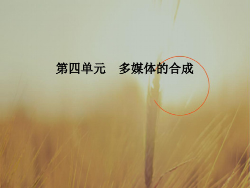 2018版浙江 信息技术必修2课件:第四单元 多媒体的合成