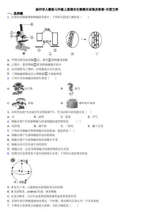 扬州市人教版七年级上册期末生物期末试卷及答案-百度文库