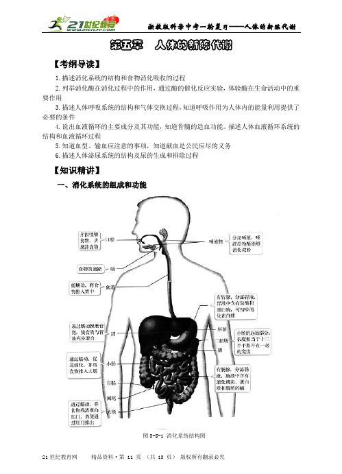 浙教版科学中考一轮复习-人体的新陈代谢