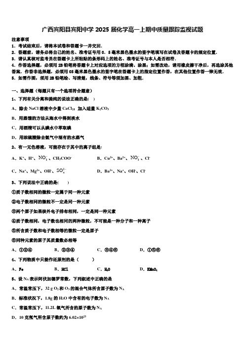 广西宾阳县宾阳中学2025届化学高一上期中质量跟踪监视试题含解析