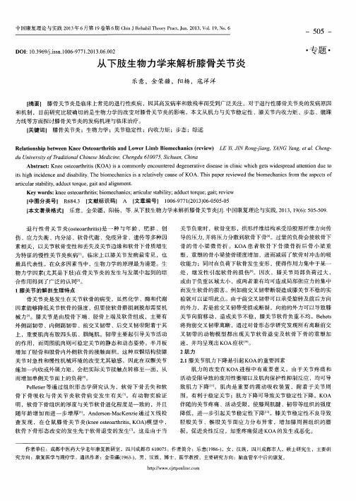 从下肢生物力学来解析膝骨关节炎