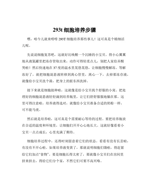 293t细胞培养步骤