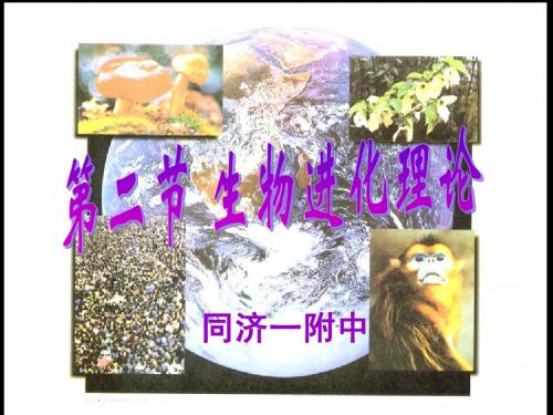 高中生物第三册-第九章-生物进化理论