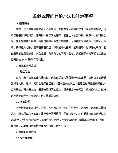 盆栽碗莲的养殖方法和注意事项