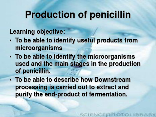 青霉素简介(英文PPT)Production of penicillin