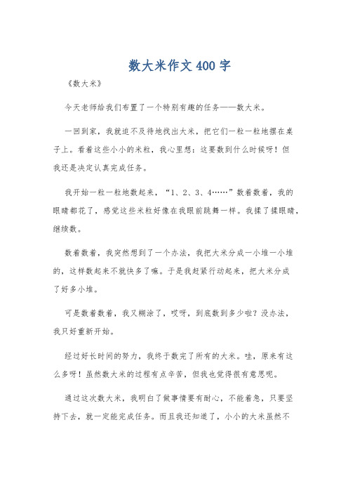 数大米作文400字