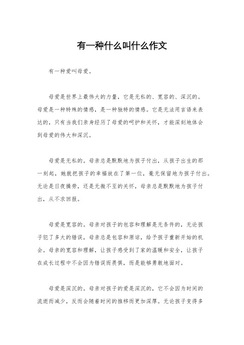 有一种什么叫什么作文