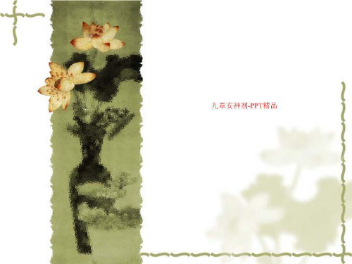 九章安神剂-PPT精品