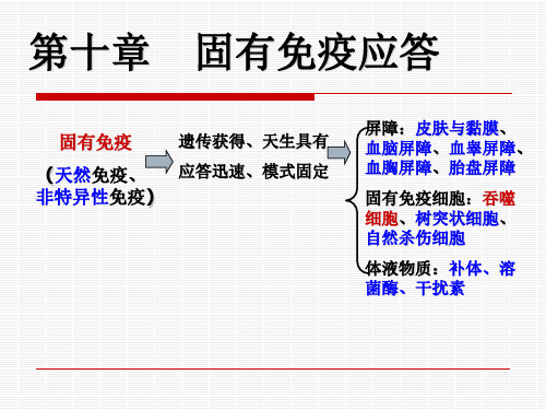 兽医免疫学《固有免疫系统及其应答》课件