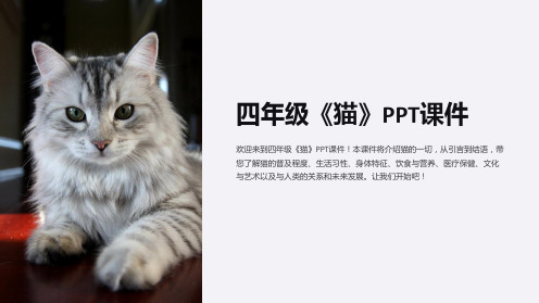 四年级《猫》课件