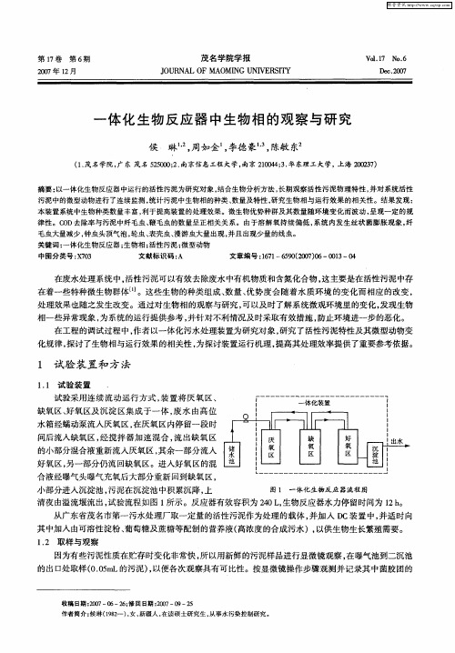 一体化生物反应器中生物相的观察与研究