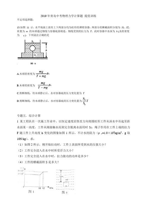 2019年青岛中考物理力学计算题 提优训练 