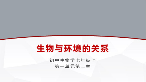 1.2.1生物与环境的关系课件(共30张PPT)2022--2023学年人教版生物七年级上册