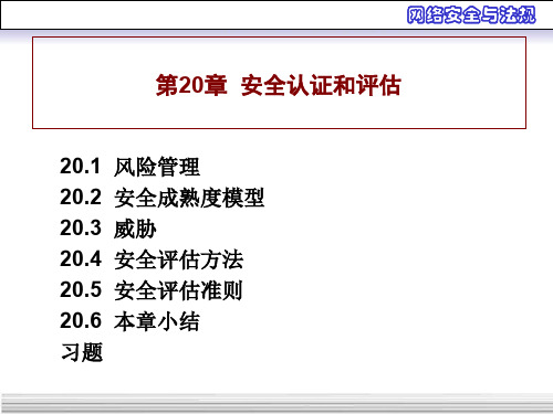 第20章《网络安全》ppt