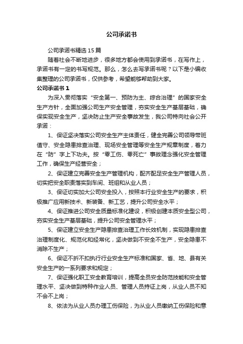 公司承诺书精选15篇