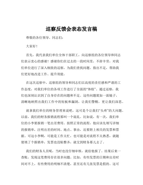 巡察反馈会表态发言稿