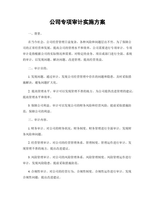 公司专项审计实施方案