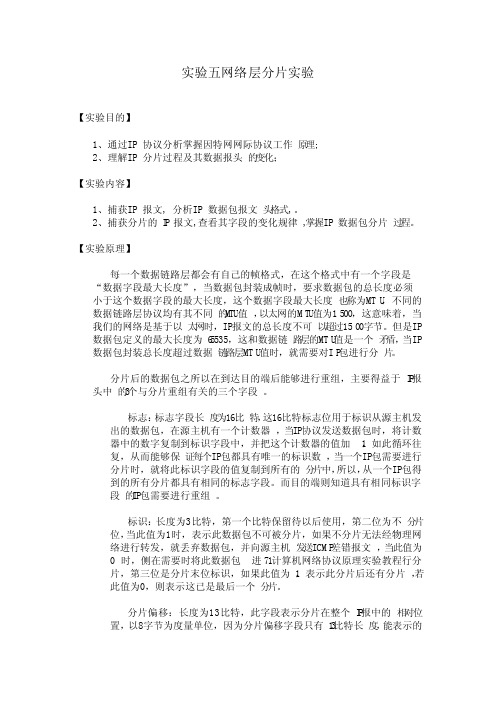 计算机网络实验-网络层分片实验