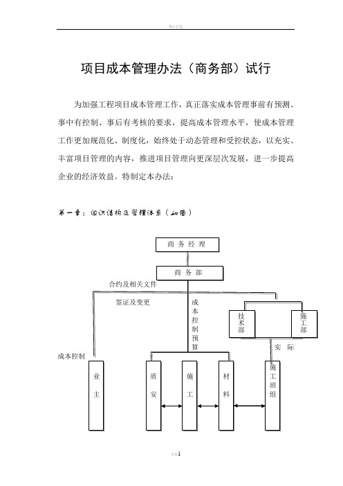 项目成本管理办法(文档及各流程图)