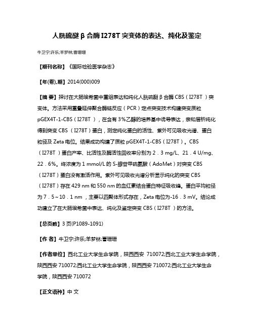 人胱硫醚β合酶I278T突变体的表达、纯化及鉴定