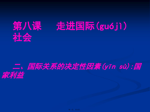 高一政治课件482国际关系的决定性因素国家利益4新必修2