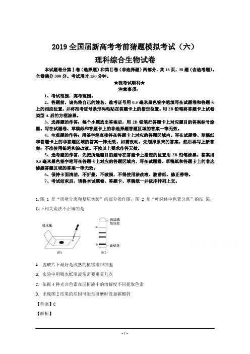 2019全国届新高考考前猜题模拟考试(六)理科综合生物试卷