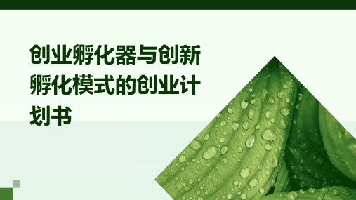 创业孵化器与创新孵化模式的创业计划书