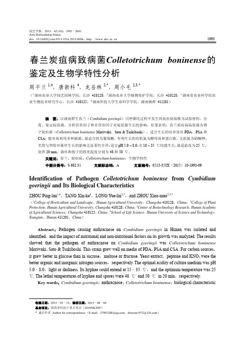 春兰炭疽病致病菌Colletotrichum boninense的鉴定及生物学特性分析