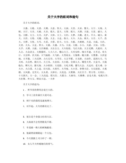 关于大字的组词和造句