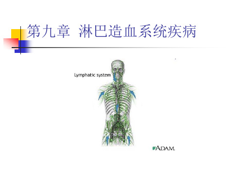 《病理生理学》课件：10淋巴系统