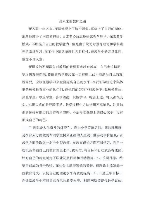 我未来的教师之路