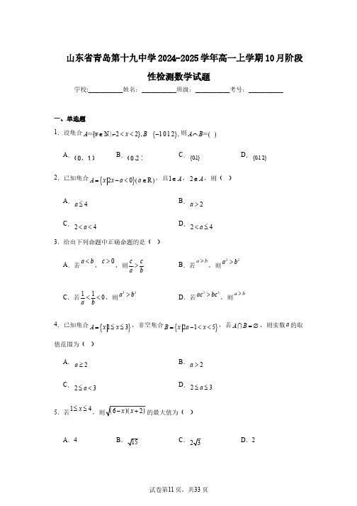 山东省青岛第十九中学2024-2025学年高一上学期10月阶段性检测数学试题