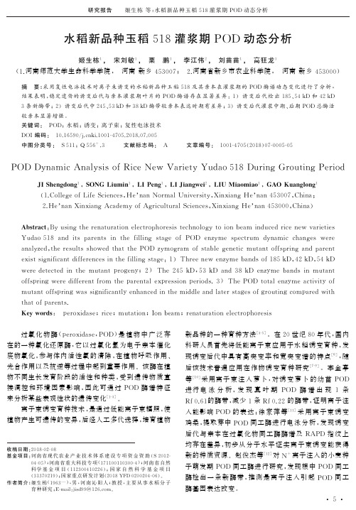 水稻新品种玉稻518灌浆期POD动态分析