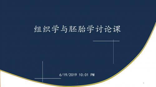 新版组织学与胚胎学病例讨论分析开放性骨折培训课件.ppt