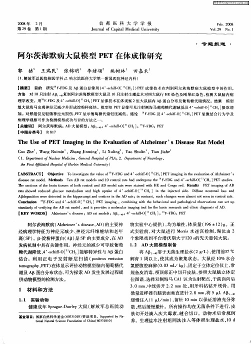 阿尔茨海默病大鼠模型PET在体成像研究